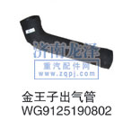 WG9125190802,金王子出氣管,山東弗殼潤滑科技有限公司