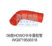 WG9719530,中冷器膠管,山東弗殼潤(rùn)滑科技有限公司