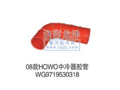 WG9719530,中冷器膠管,山東弗殼潤(rùn)滑科技有限公司