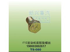 190003802617,￠12發(fā)動(dòng)機(jī)前膠墊螺絲,晉江新興螺絲有限公司