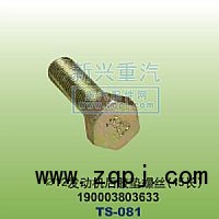 190003803633,￠12發(fā)動(dòng)機(jī)膠墊螺絲45長(zhǎng),晉江新興螺絲有限公司