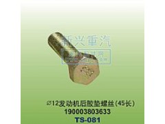 190003803633,￠12發(fā)動(dòng)機(jī)膠墊螺絲45長(zhǎng),晉江新興螺絲有限公司