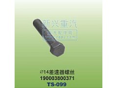 190003800371,￠14差速器螺絲,晉江新興螺絲有限公司