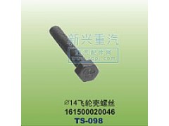 161500020046,￠14飛輪殼螺絲,晉江新興螺絲有限公司