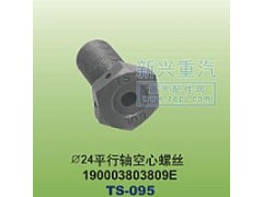 190003803809E,￠24平行軸空心螺絲,晉江新興螺絲有限公司