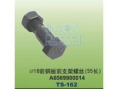 A6569900014,￠18前鋼板前支架螺絲55長,晉江新興螺絲有限公司