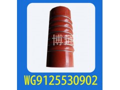 WG9125530902,,濟(jì)南博通重汽備件庫