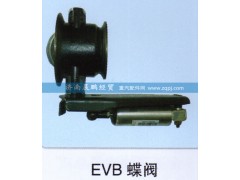 ,EVB蝶閥,濟(jì)南晨鵬經(jīng)貿(mào)有限公司