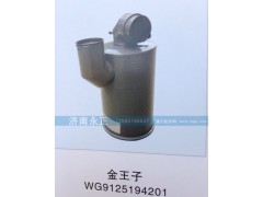 WG9125194201,金王子油濾器WG9125194201,濟南永正汽車配件經(jīng)銷處