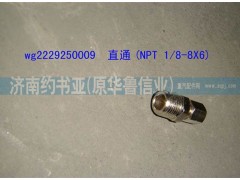 WG2229250009,直通(NPT1/8-8X6),濟南約書亞汽車配件有限公司（原華魯信業(yè)）