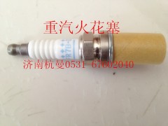 VG1560080701,火花塞,濟南杭曼汽車配件有限公司