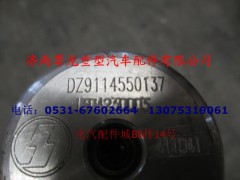 DZ9114550137,油量傳感器,濟(jì)南尊龍(原天盛)陜汽配件銷售有限公司