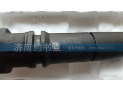 VG1557080015,噴油器總成4氣門,濟(jì)南約書亞汽車配件有限公司（原華魯信業(yè)）