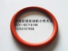 VG1246040019,重汽D12噴油器銅套密封圈,濟(jì)南耀順汽車配件有限公司（重汽、濰柴發(fā)動(dòng)機(jī)小件專賣）