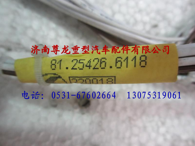 81.25426.6118,陜汽德龍F(tuán)2000電動(dòng)玻璃升降器線束總成,濟(jì)南尊龍(原天盛)陜汽配件銷售有限公司