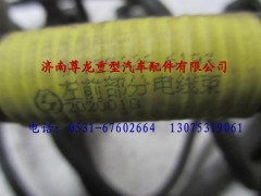 81.25426.6193,陜汽重卡德龍奧龍左前部分電線束,濟(jì)南尊龍(原天盛)陜汽配件銷售有限公司