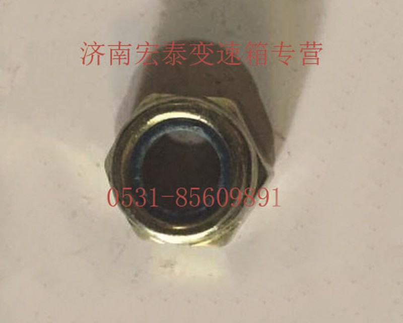 AZ9003881616,六角尼龍圈鎖緊螺母,濟南宏泰變速箱專營店