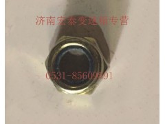 AZ9003881616,六角尼龍圈鎖緊螺母,濟南宏泰變速箱專營店