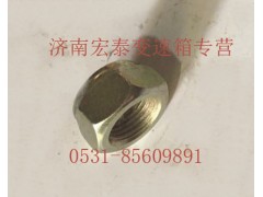 AZ9003881616,六角尼龍圈鎖緊螺母,濟南宏泰變速箱專營店