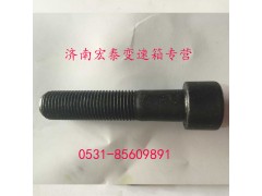 AZ9003821250,內(nèi)六角圓柱頭螺釘,濟(jì)南宏泰變速箱專(zhuān)營(yíng)店