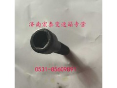 AZ9003821250,內(nèi)六角圓柱頭螺釘,濟(jì)南宏泰變速箱專(zhuān)營(yíng)店