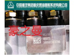 VG1596080053高壓油泵,VG1596080053高壓油泵,杭州豪之曼汽車配件