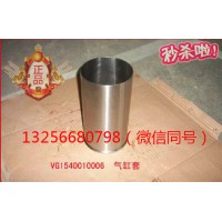 供應(yīng)VG1540010006重汽豪沃斯太爾金王子發(fā)動(dòng)機(jī)氣缸套