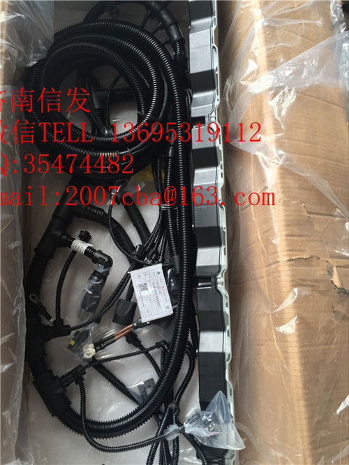 812W25424-6365重汽T5G發(fā)動機線束1,812W25424-6365重汽T5G發(fā)動機線束1,濟南信發(fā)汽車配件有限公司