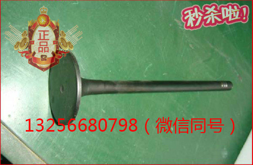 VG1096050015,發(fā)動(dòng)機(jī)進(jìn)氣門,濟(jì)南凱爾特商貿(mào)有限公司