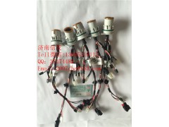 24V-A041B881 Ecofit尿素泵體內線束,24V-A041B881 Ecofit尿素泵體內線束,濟南信發(fā)汽車配件有限公司