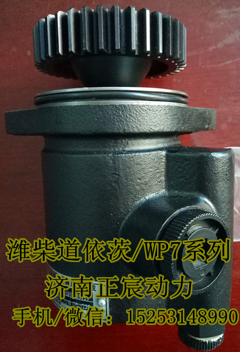 610800130014,濰柴WP7轉(zhuǎn)向助力泵,濟(jì)南正宸動(dòng)力汽車(chē)零部件有限公司