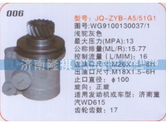 WG9100130037-1,轉(zhuǎn)向泵,濟(jì)南隆祺工貿(mào)有限公司