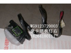 WG9123720003,踏板燈,濟南百思特駕駛室車身焊接廠