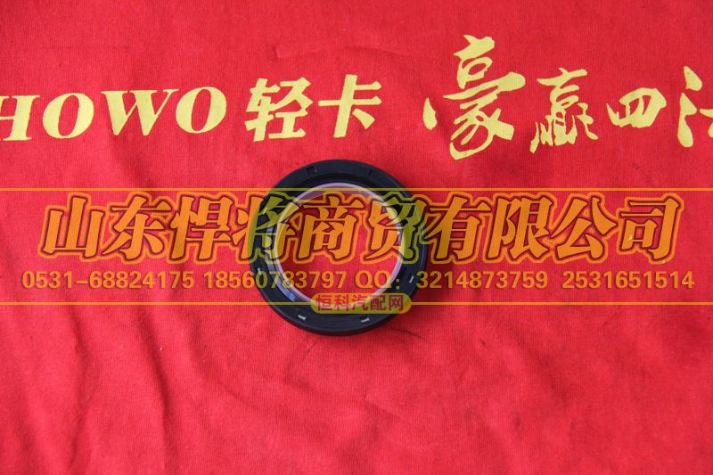 WG9003070430,HOWO豪沃輕卡油封47.6×65×6,山東悍將商貿(mào)有限公司