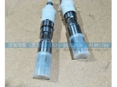 080V10100-6085,共軌噴油器,濟(jì)南領(lǐng)泰（原玉華）汽車零部件有限公司