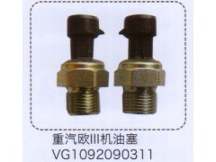 VG1092090311,重汽歐三機(jī)油塞,濟(jì)南泉信汽配