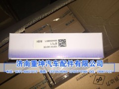 1007011-81D,進氣門,濟南重坤汽車配件有限公司