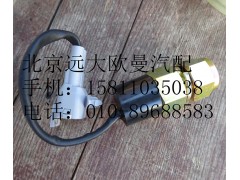 1419336601001,電動舉升開關,北京遠大歐曼汽車配件有限公司