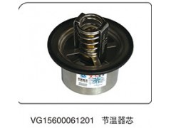 VG15600061201,節(jié)溫器芯,山東百基安國際貿(mào)易有限公司