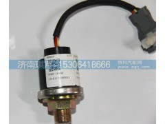 36AD-10080,低氣壓傳感器,濟(jì)南琪芹汽車配件銷售中心