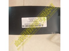 LG9704530324,HOWO豪沃輕卡護風(fēng)罩,山東悍將商貿(mào)有限公司