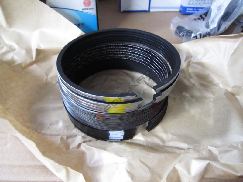 610800030029   WP7 活塞環(huán)Piston ring/610800030029