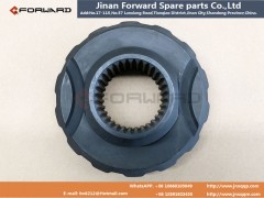 HD95129320206,Half shaft gear HD485,濟(jì)南向前汽車(chē)配件有限公司