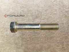 06.01499.0173,Hexagon head bolt,濟(jì)南向前汽車配件有限公司