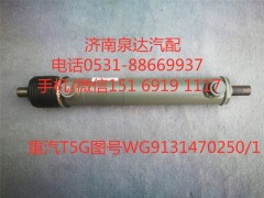 WG9131470250/1,助力缸總成,濟南泉達(dá)汽配有限公司