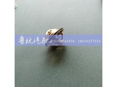 VG1246060029,VG1246060029 D12節(jié)溫器總成 71度,濟南魯杭汽配有限公司