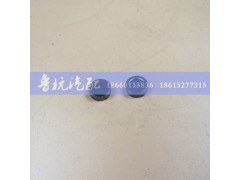 61500050105,氣門帽61500050105,濟(jì)南魯杭汽配有限公司