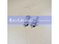 190003862467,中冷器緊固帶螺絲,濟南魯杭汽配有限公司