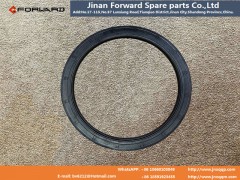 DZ91259520512,Balanced shaft oil seal,濟(jì)南向前汽車(chē)配件有限公司