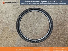 DZ91259520512,Balanced shaft oil seal,濟(jì)南向前汽車(chē)配件有限公司